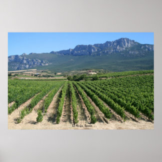 IMG_6159, La Rioja, Spanje Poster