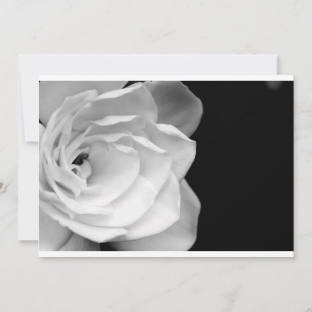 IMG_6537a (Voorkant)