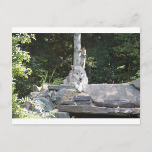 IMG_7954 BRIEFKAART