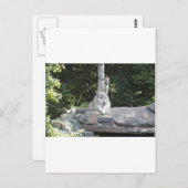 IMG_7954 BRIEFKAART (Voorkant / Achterkant)