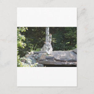 IMG_7954 BRIEFKAART