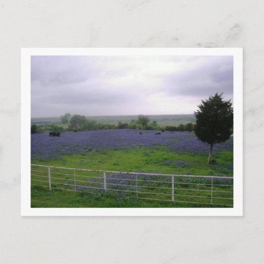 IMGP4300 BRIEFKAART (Voorkant)