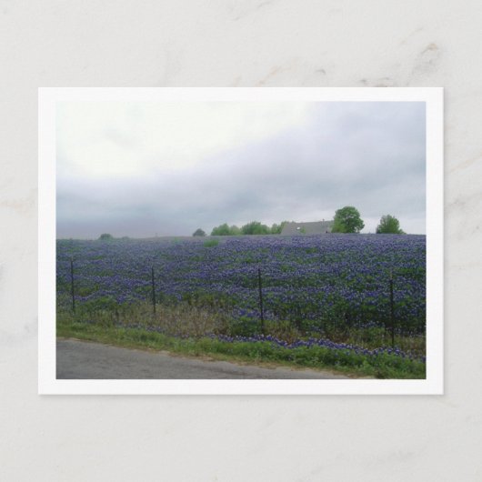 IMGP4303 BRIEFKAART (Voorkant)