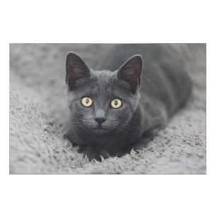 Imitation Canevas Animaux de bébés cutest   Chat gris