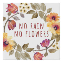 Aucune pluie, aucunes fleurs