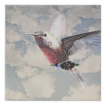 colibri "Livraison spéciale"