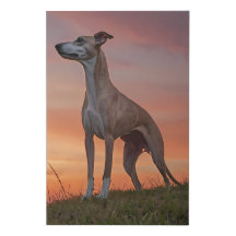 Elégant Whippet Sunset Hill Canvas Wall Art