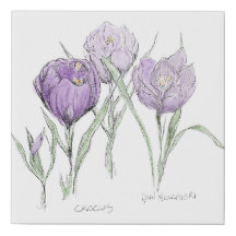 Fleurs de printemps - Crocus