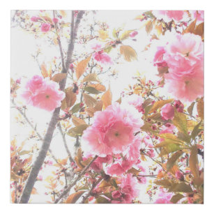 Imitation Canevas Fleurs de printemps rose floral Abstrait cadeau ar