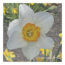 Gryforaday imprimé floral blanc
