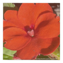 Gryforaday Orange Floral Print