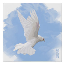 La Colombe Blanche Dans Un Ciel Bleu