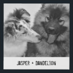 Imitation Canevas Photo simple, moderne personnalisée pour animaux d<br><div class="desc">Ajoutez votre propre photo et texte pour créer un cadeau photo unique. Cette petite image de toile enveloppée est prête à être customisée avec votre photo et vos propres noms ou message en lettres de style machine à écrire noir en détresse. Le style simple, moderne, noir et blanc est très...</div>