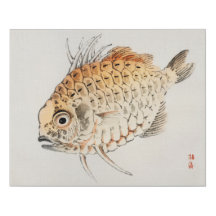 Poisson par Kōno Baire
