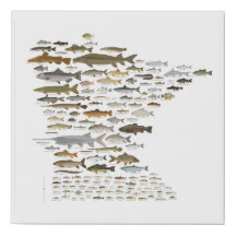 Poissons du Minnesota