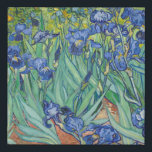 Imitation Canevas Vincent Van Gogh - Irises 1889<br><div class="desc">Vincent Van Gogh - Irises 1889</div>