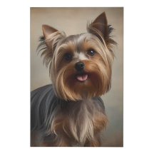 Yorkshire Terrier Elégant Peinture murale