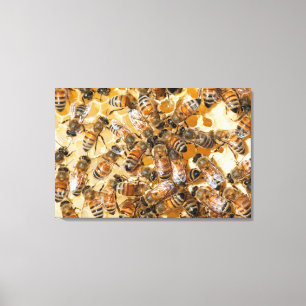 Imkerij bij Arlo's Honey Farm Canvas Afdruk