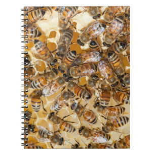 Imkerij bij Arlo's Honey Farm Notitieboek