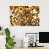 Imkerij bij Arlo's Honey Farm Poster (Thuiskantoor)