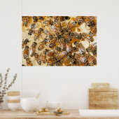 Imkerij bij Arlo's Honey Farm Poster (Keuken)