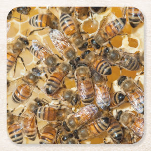 Imkerij bij Arlo's Honey Farm Vierkante Kartonnen Onderzetter