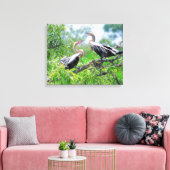 Immature Anhingas Wrapped Canvas Afdruk (Insitu (Woonkamer))