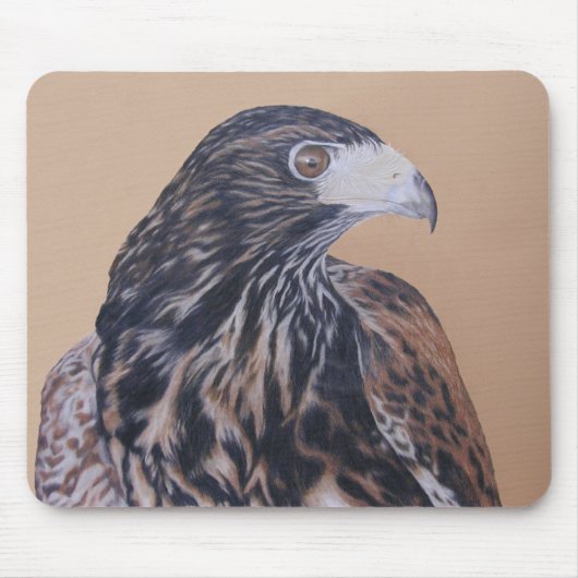 Immature Harris Hawk Muismat (Voorkant)