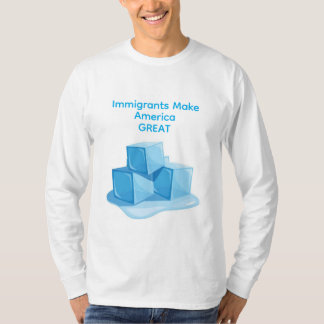Immigration USA t-shirt