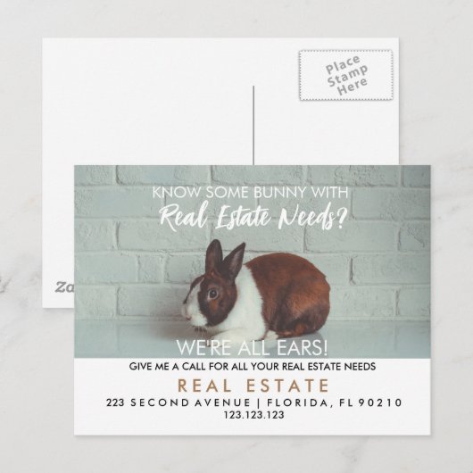 immobilier easter lapins aiguilles Faire-part (Devant / Derrière)