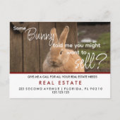 immobilier easter lapins aiguilles Faire-part (Devant)