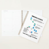 Immunologen weten over T-cel activering Planner (Display)