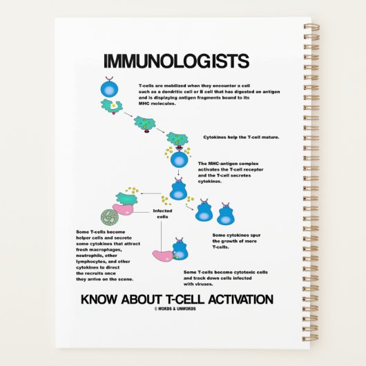 Immunologen weten over T-cel activering Planner (Achterkant)