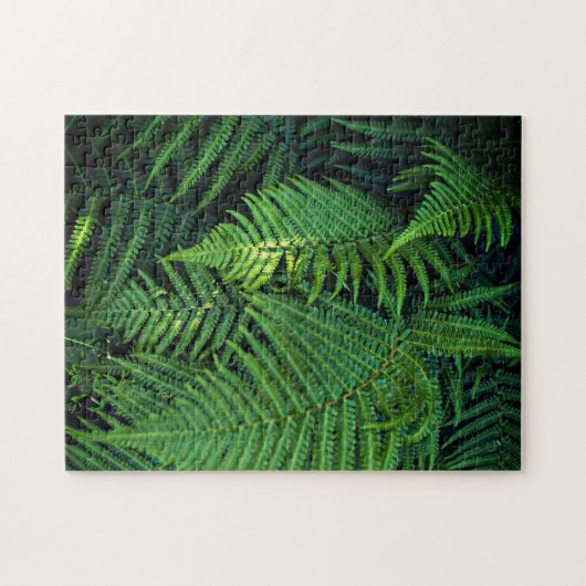 Immuunsysteem puzzels - Oerwoud Ferns (Horizontaal)