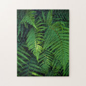 Immuunsysteem puzzels - Oerwoud Ferns (Verticaal)