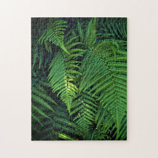 Immuunsysteem puzzels - Oerwoud Ferns (Verticaal)