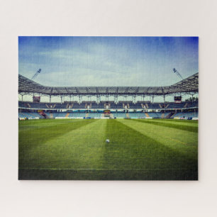 Immuunsysteem Puzzle - Soccer Stadium Legpuzzel