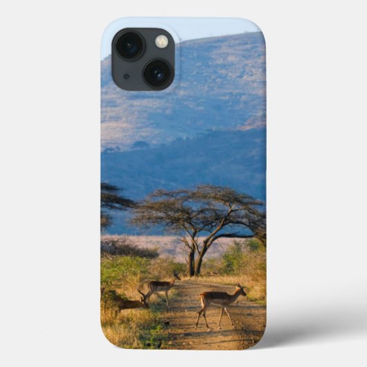 Impala (Aepyceros Melampus), Hluhluwe-Umfolozi Case-Mate iPhone Case (Achterkant)