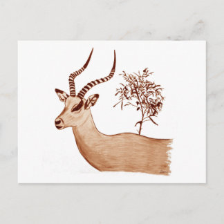 Impala Antelope Dier Wildlife Tekening Schets Briefkaart