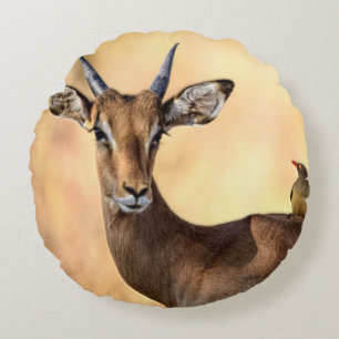 Impala en Oxpecker Bird in Afrika Rond Kussen