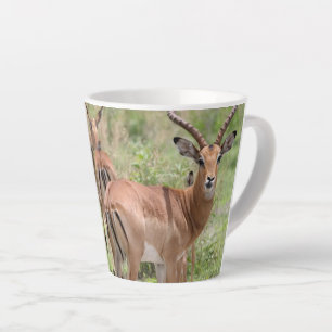 Impala in de Okavango Delta Latte Mok