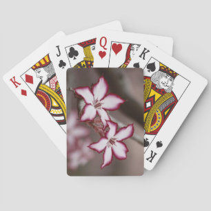 Impala Lily Adenium Miltiflorum Flower Pokerkaarten