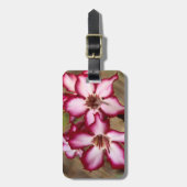 Impala Lily (Adenium Multiflorum), Kruger Bagagelabel (Voorkant verticaal)