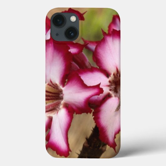 Impala Lily (Adenium Multiflorum), Kruger Case-Mate iPhone Case (Achterkant)