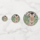 Impala Portrait Confetti (Voorkanten)