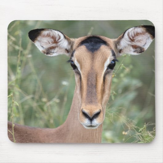 Impala Portrait Muismat (Voorkant)