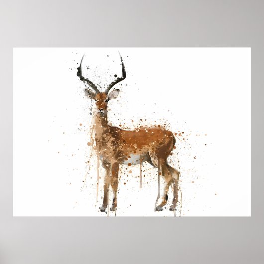 Impala Poster (Voorkant)