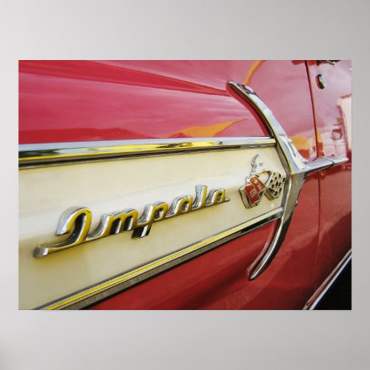 Impala Poster (Voorkant)