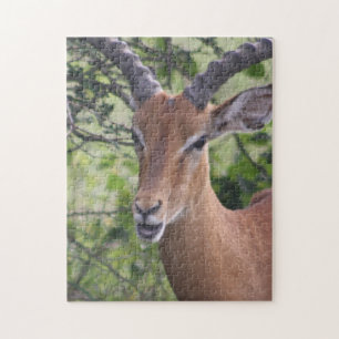 Impala Wildlife Jigsaw Puzzel