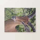 Impala Wildlife Jigsaw Puzzle Puzzle (Horizontal)